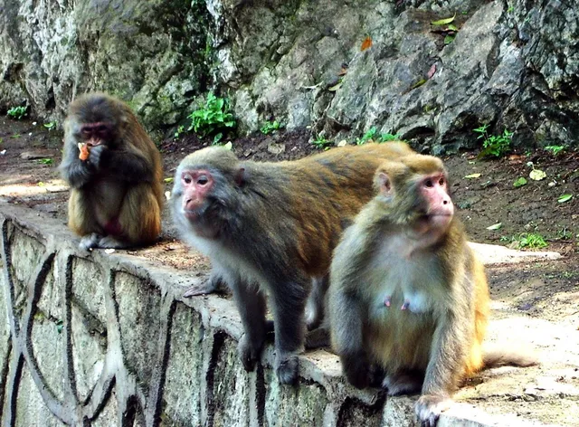 Qianling Mountain Park in Guiyang