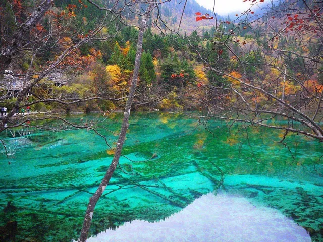 Five Flower Lake in Jiuzhaigou
