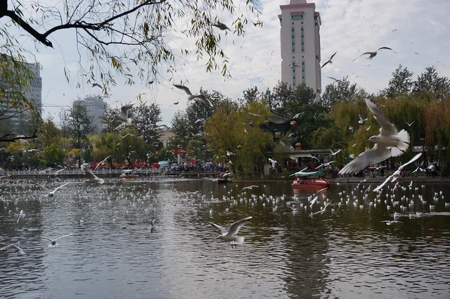 Green Lake Park in Kunming