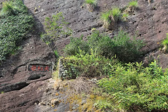 The Da Hong Pao Tea Trail in Wuyishan