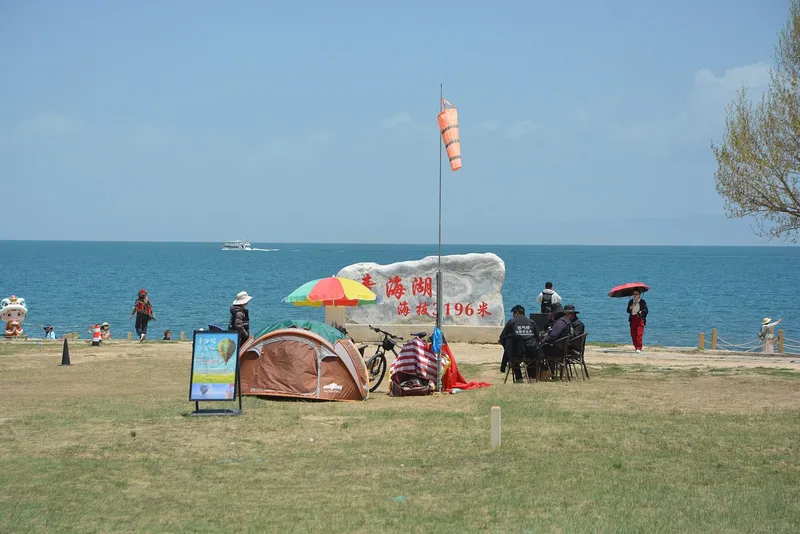 Qinghai Lake shore with grassland and distant snow peaks under a wide sky